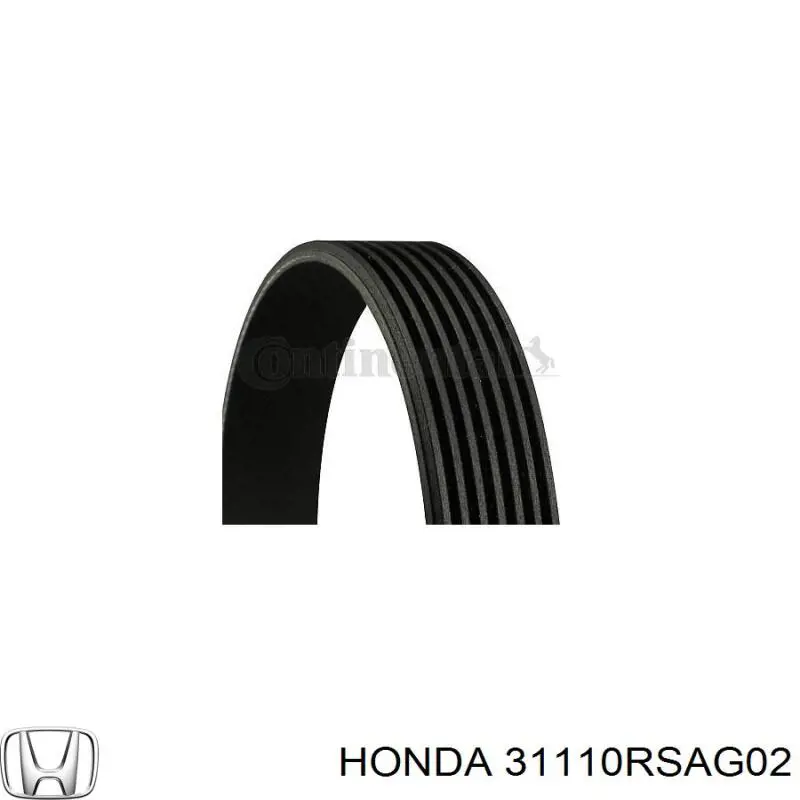 31110RSAG02 Honda Поліклиновий ремінь