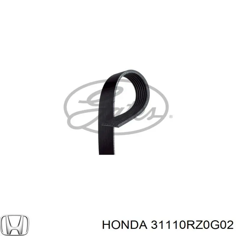 31110RZ0G02 Honda Поліклиновий ремінь
