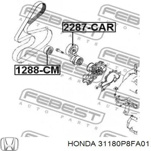 31180P8FA01 Honda ролик натягувача приводного ременя