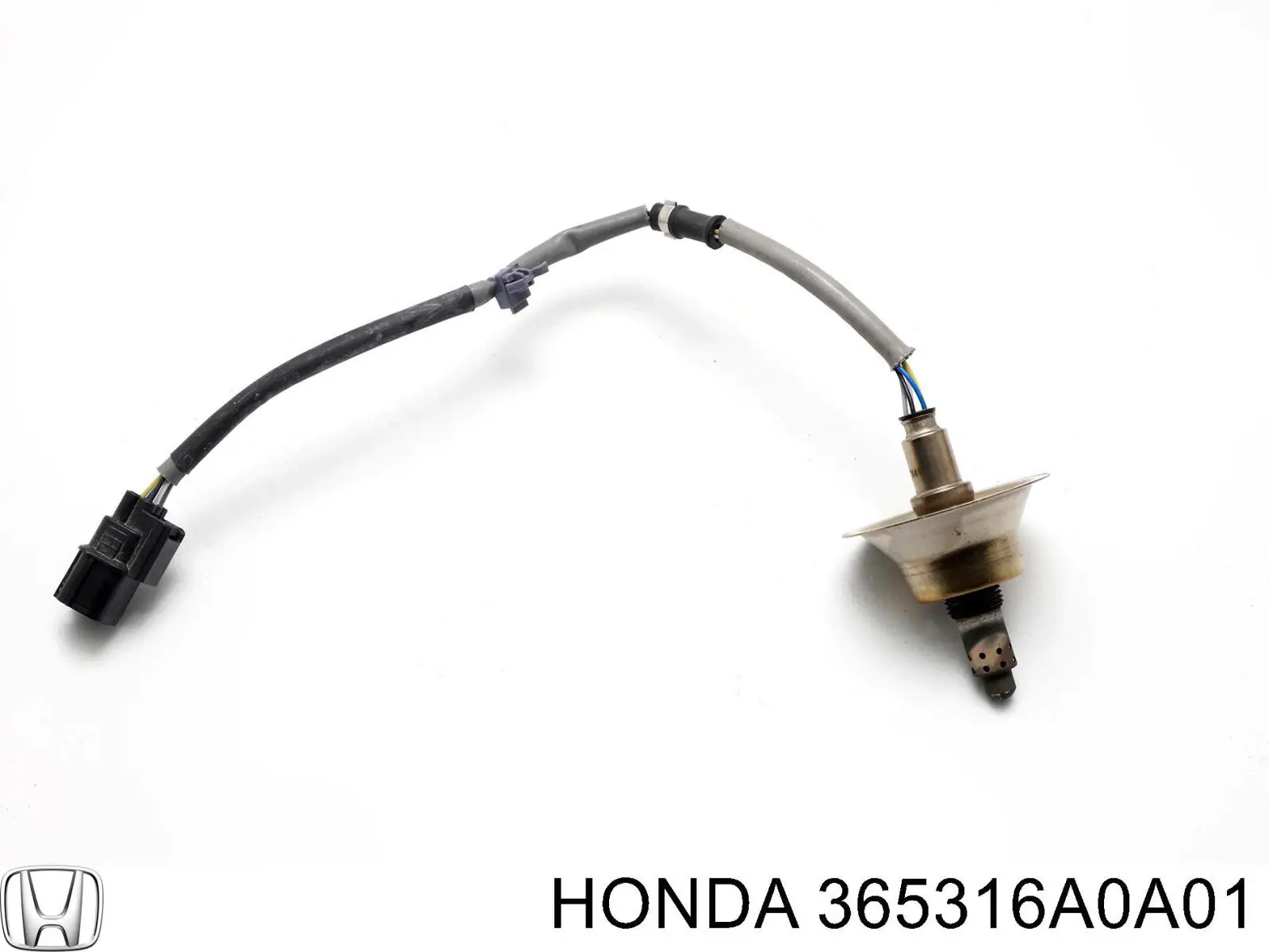 Купити 365316A0A01 Honda Лямбдазонд, датчик кисню до каталізатора