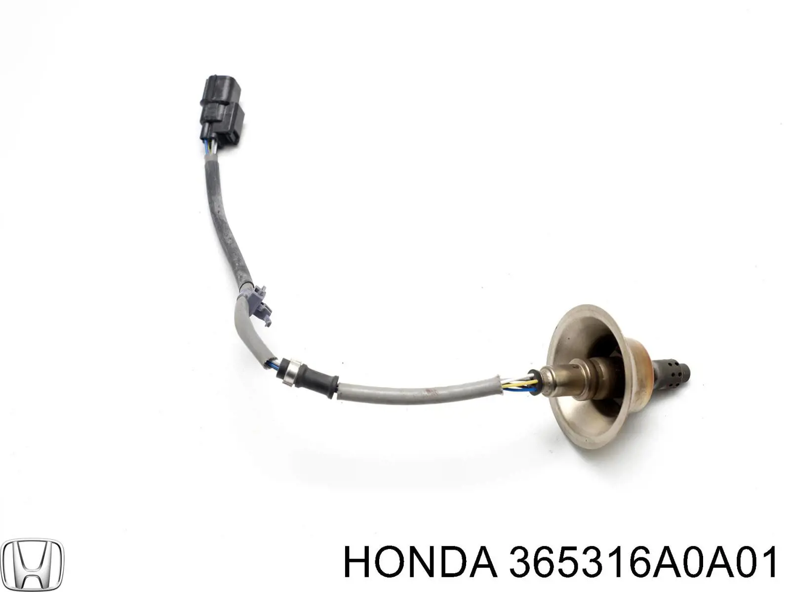 365316A0A01 Honda Лямбдазонд, датчик кисню до каталізатора