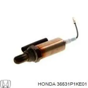 Купити 36531P1KE01 Honda Лямбдазонд, датчик кисню до каталізатора