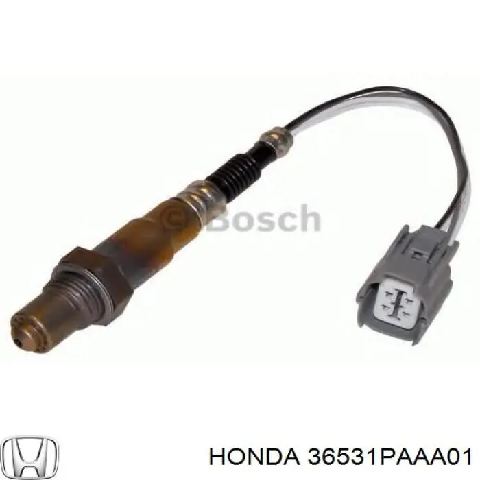  36531PAAA01 Honda