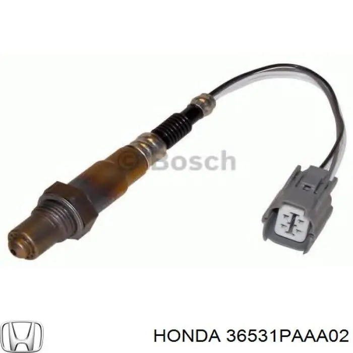  36531PAAA02 Honda