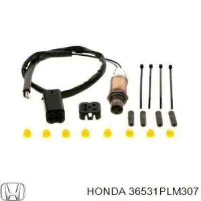 Купити 36531PLM307 Honda Лямбдазонд, датчик кисню до каталізатора