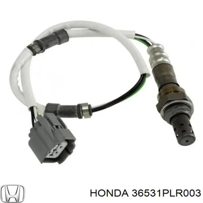 Купити 36531PLR003 Honda 