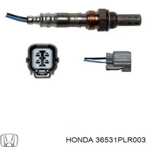 36531PLR003 Honda 