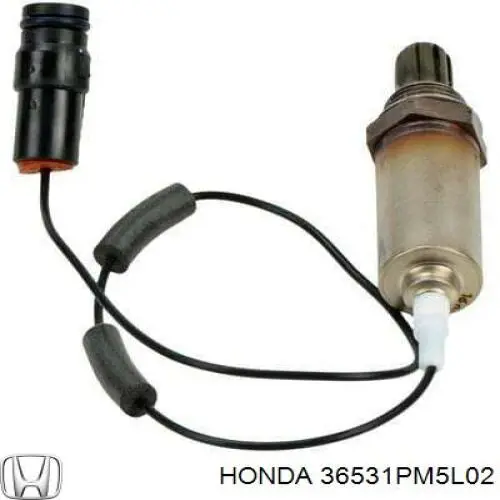 36531PM5L02 Honda 