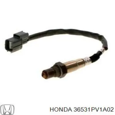  36531PV1A02 Honda