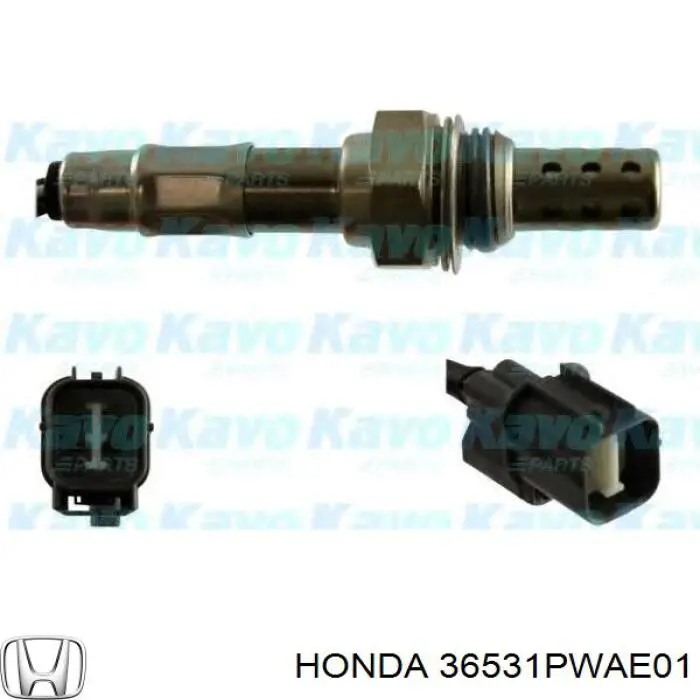 Купити 36531PWAE01 Honda Лямбдазонд, датчик кисню до каталізатора
