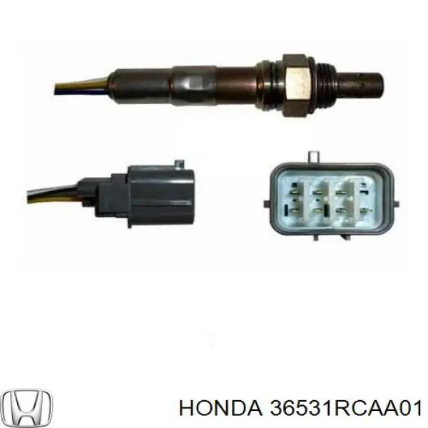 Купити 36531RCAA01 Honda 