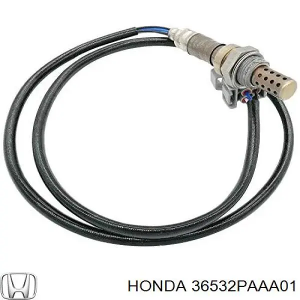  36532PAAA01 Honda