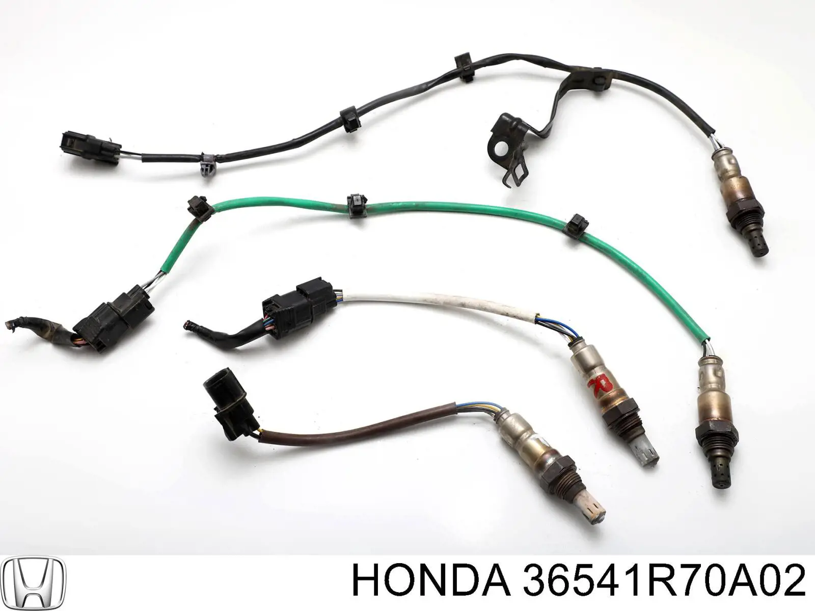 Купити 36541R70A02 Honda 