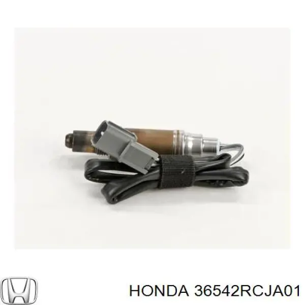  36542RCJA01 Honda