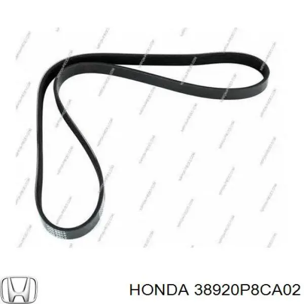 Купити 11287952902 BMW Ремінь генератора