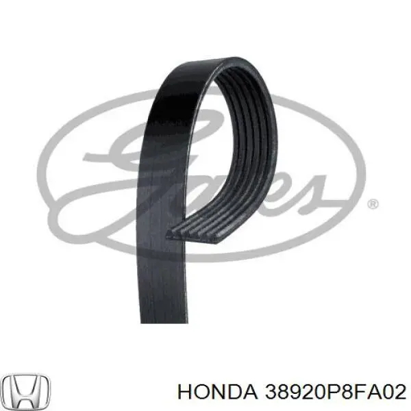 Купити 38920P8FA02 Honda Ремінь генератора