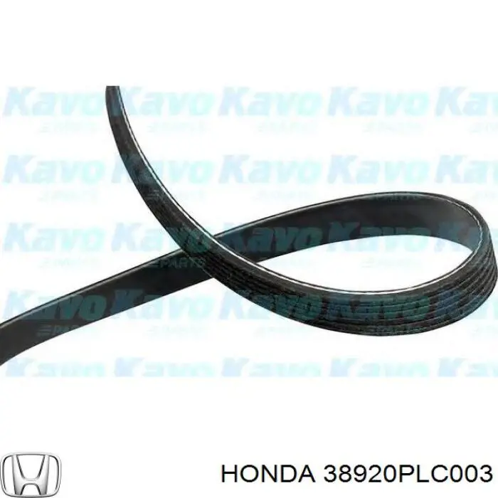Клиновий ремінь Honda 38920PLC003 ціна, від 8.67 USD