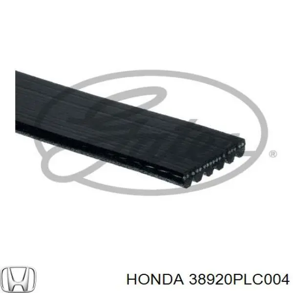 38920PLC004 Honda ремінь приводний, агрегатів
