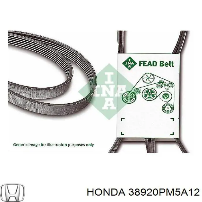 Купити 38920PM5A12 Honda Ремінь генератора