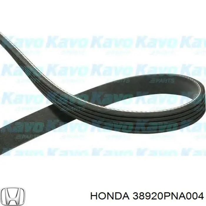 Клиновий ремінь Honda 38920PNA004 ціна, від 18.10 USD