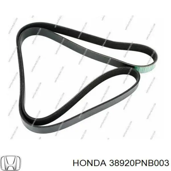 Ремінь генератора 38920PNB003 Honda