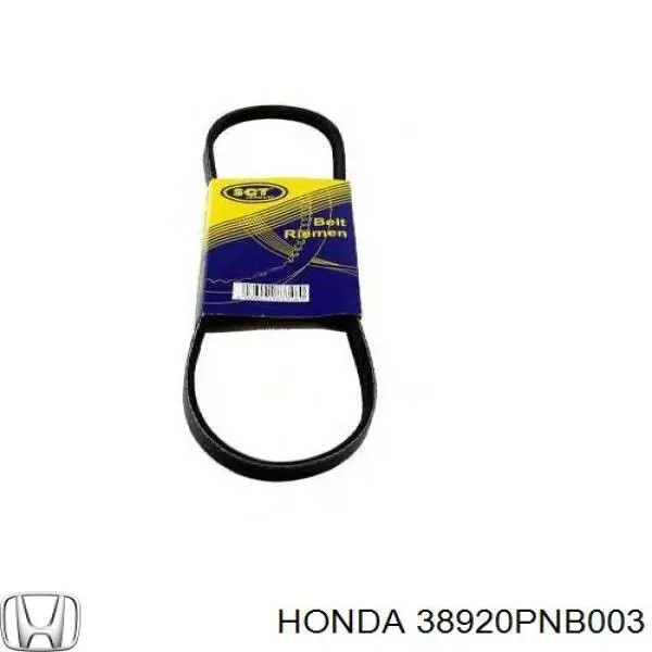 Купити 38920PNB003 Honda Ремінь генератора