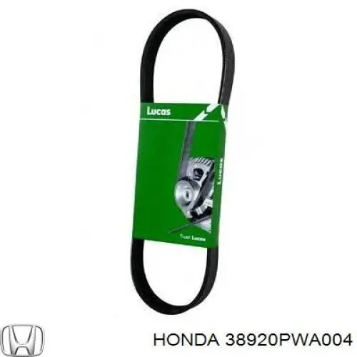 Купити 38920PWA004 Honda Ремінь генератора