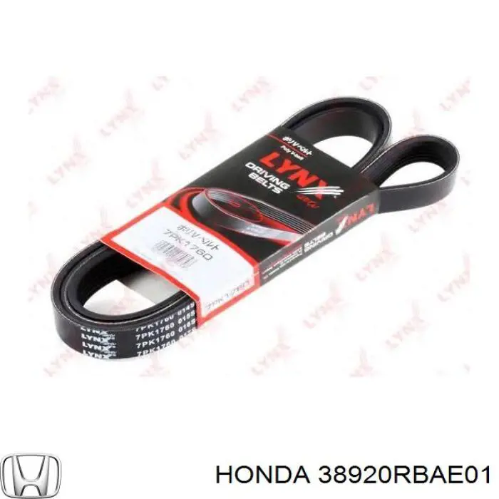 Купити 38920RBAE01 Honda Ремінь генератора