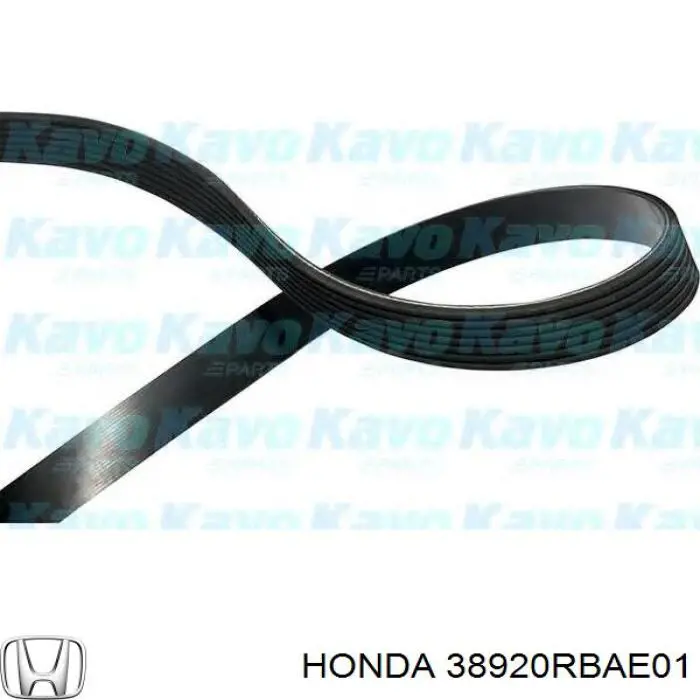 38920RBAE01 Honda Поліклиновий ремінь