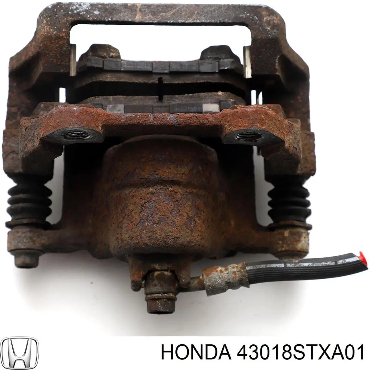  43018STXA01 Honda