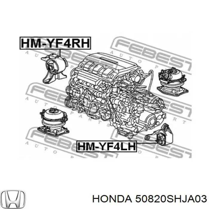 50820SHJA03 Honda подушка (опора двигуна, права)