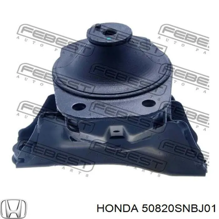 50820SNBJ01 Honda подушка (опора двигуна, права нижня)