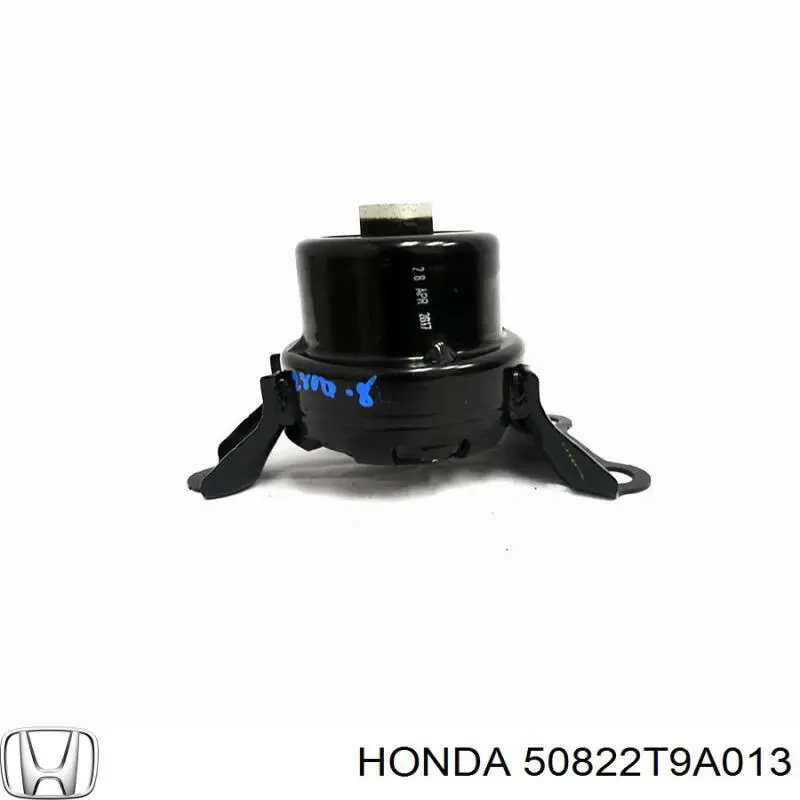  Tenacity AWSHO1142 ціна, від 29.83 USD