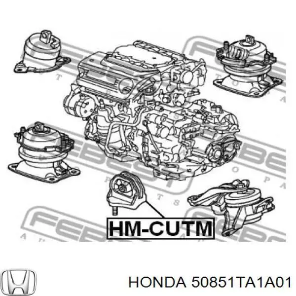 50851TA1A01 Honda Подушка (опора) двигуна, ліва нижня