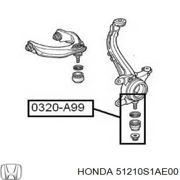 51210S1AE00 Honda Цапфа - поворотний кулак передній, правий