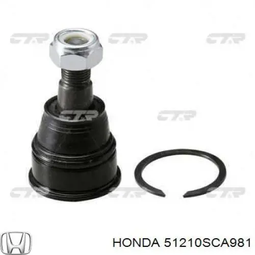 Купити 51210SCA981 Honda Кулак поворотний передній правий