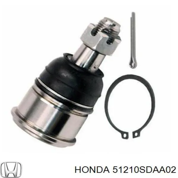 Купити 51210SDAA02 Honda Цапфа - поворотний кулак передній, правий