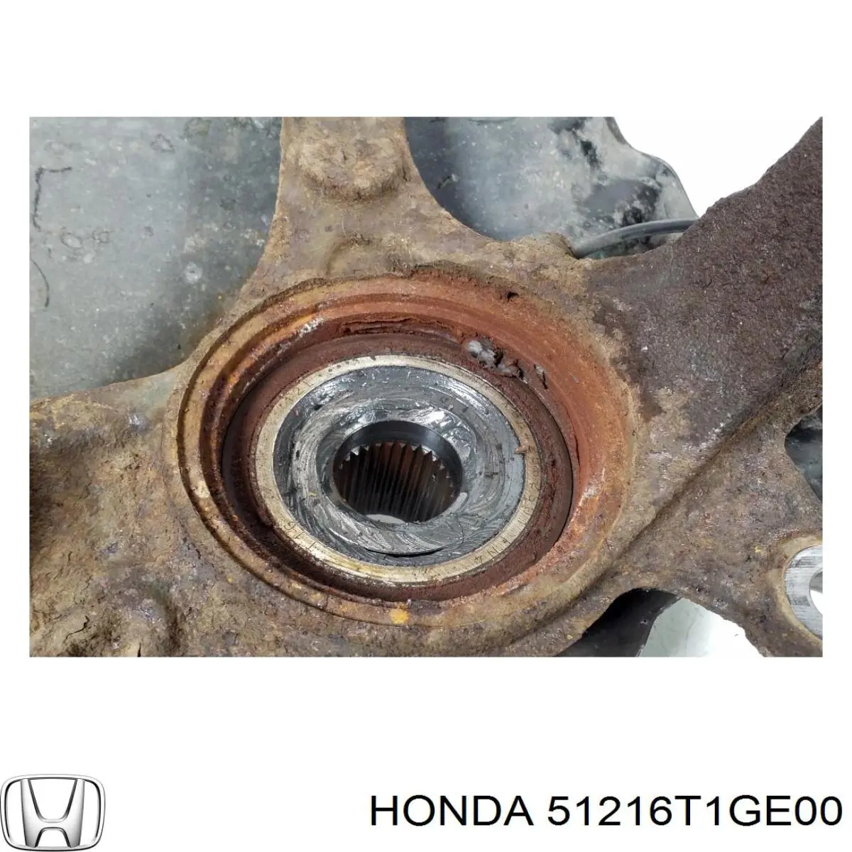 51216T1GE00 Honda 