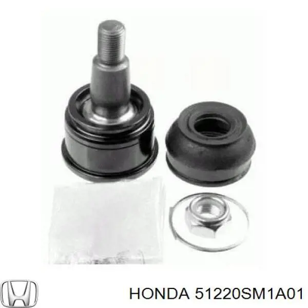 Кульова опора, нижня Honda 51220SM1A01 ціна, від 8.58 USD