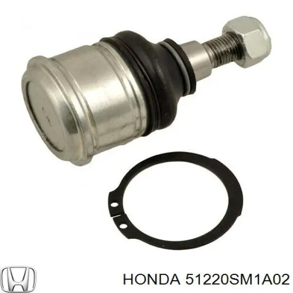 Купити 51220SM1A02 Honda Кульова опора, нижня