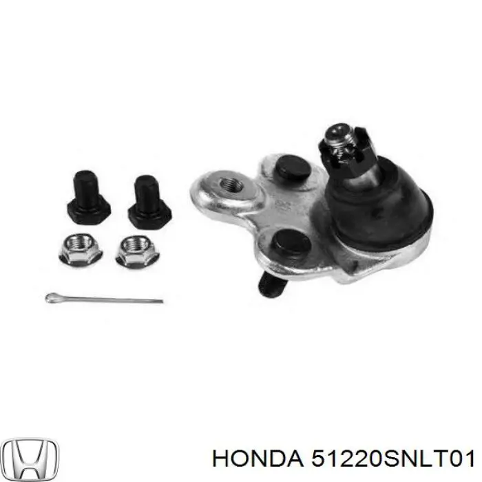 Купити 51220SNLT01 Honda Кульова опора, нижня, права