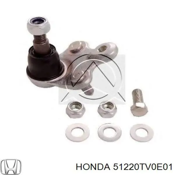 Кульова опора, нижня 51220TV0E01 Honda