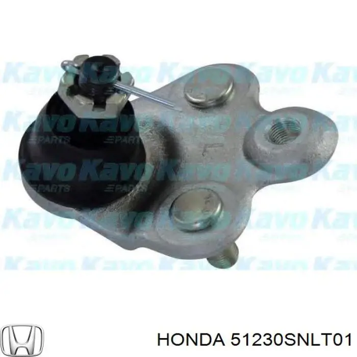 Кульова опора, нижня 51230SNLT01 Honda