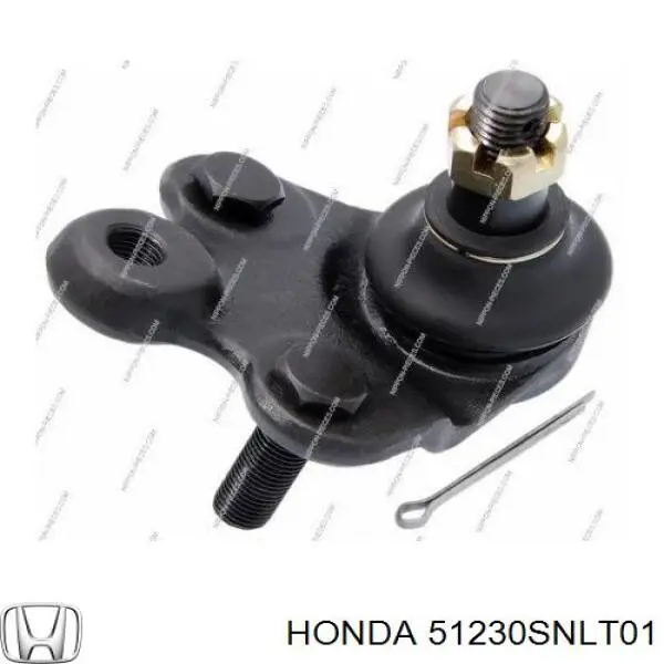 Кульова опора, нижня Honda 51230SNLT01 ціна, від 17.35 USD