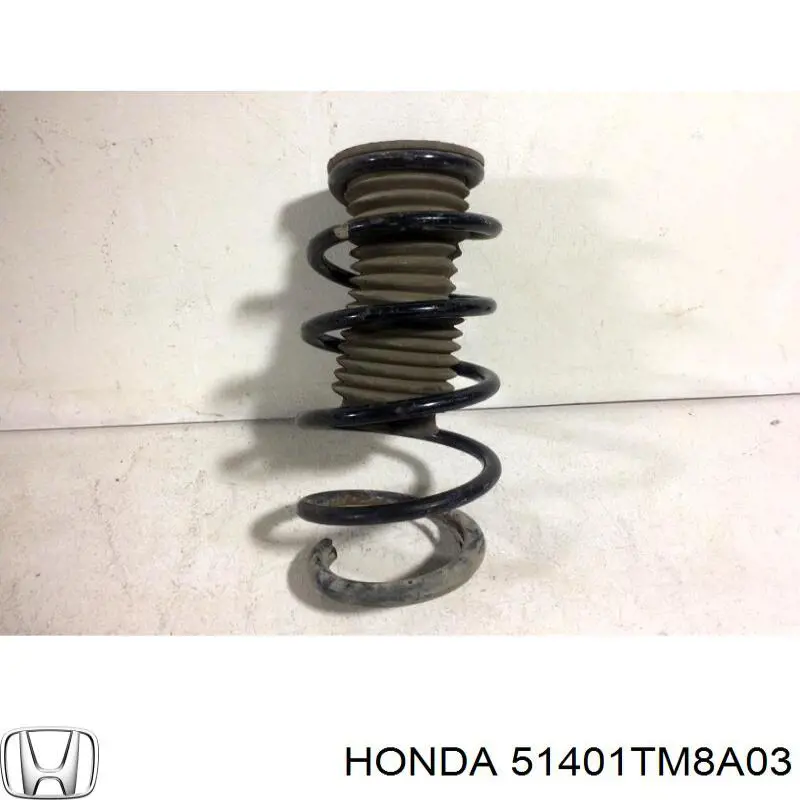 51401TM8A03 Honda Пружина амортизатора передняя