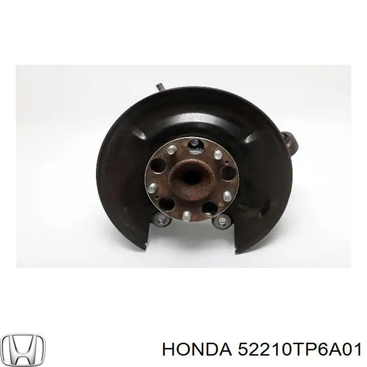 Цапфа - поворотний кулак задній, правий Honda 52210TP6A01 ціна, від 101.35 USD