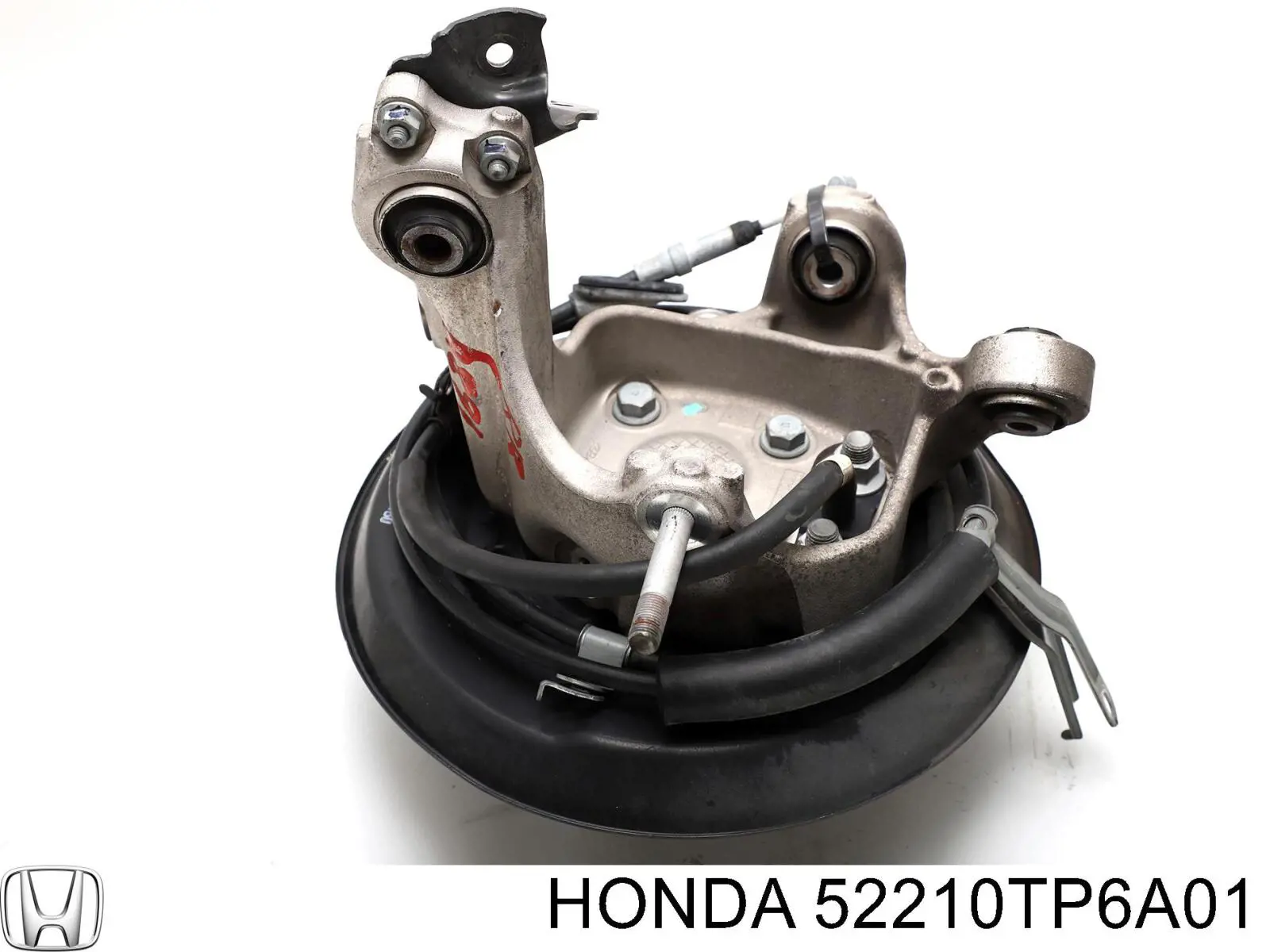 Цапфа - поворотний кулак задній, правий 52210TP6A01 Honda