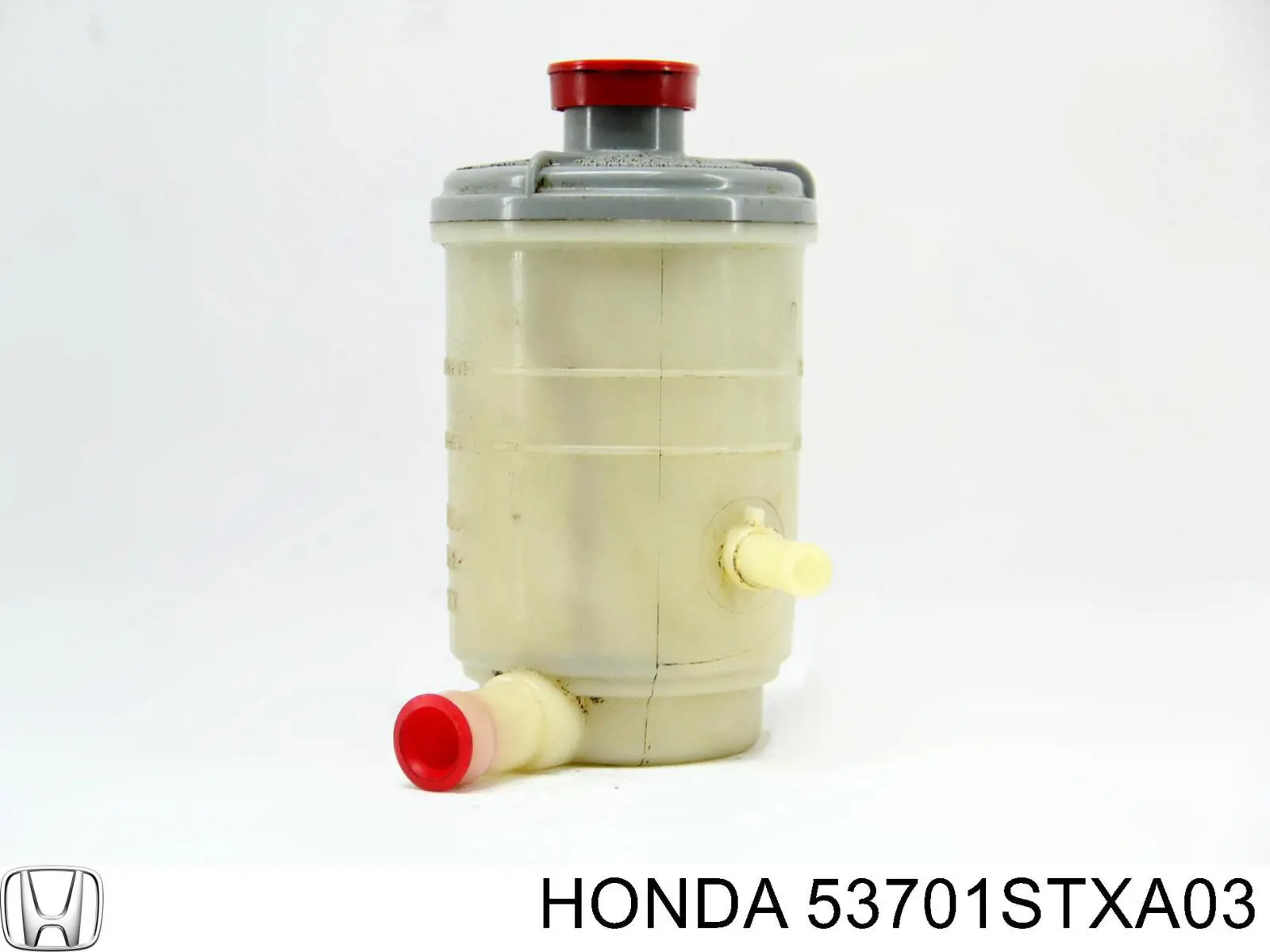 53701STXA03 Honda 