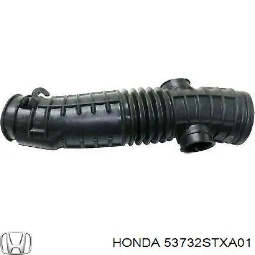 53732STXA01 Honda 