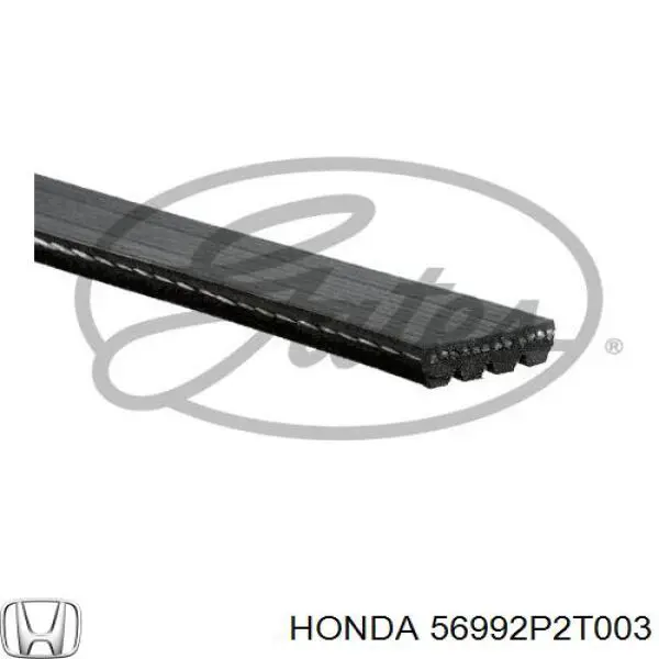 Ремінь кондиціонера Honda 56992P2T003